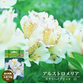 楽天市場 アルストロメリア 品種の通販