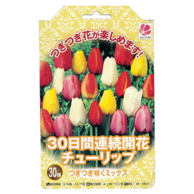 チューリップ 球根 【つぎつぎ咲くミックス・30日間連続開花】 （30球入り）（植え付け時期12月下旬まで）