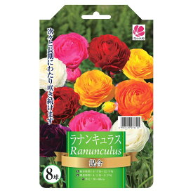 ラナンキュラス 混合 8球入り 球根 （植え付け時期12月下旬まで） 【予約販売】8月下旬以降入荷予定