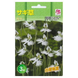 サギソウ 【銀河】 球根 （3球入） （植え付け時期11月上旬～翌3月下旬） 【予約販売】2月中旬頃発送予定。