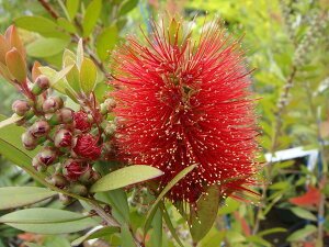 yGfo[z uVmL iJXeEL|EWj 5|bgc