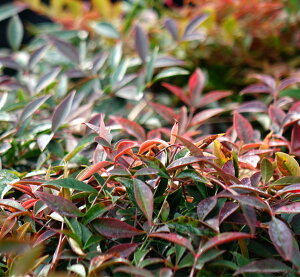 ␫ie yt[gz 5|bgc o^iEio^