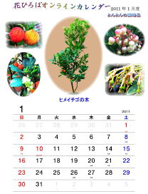 楽天市場 花ひろば学園 レモン部top レモン以外の日記 部員さんのお庭の様子 その４ 苗木部 ｂｙ 花ひろばオンライン