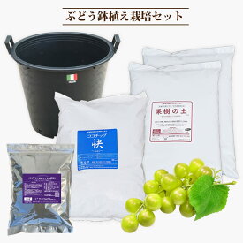鉢植え栽培セット ぶどう3年生用 ブラックナーセリーポット