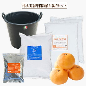 鉢植え栽培セット かんきつ他常緑樹全般 3年生用 ブラックナーセリーポット