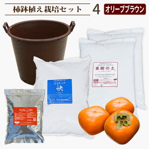 3NʎEԖؔA͔|Zbg c؂͕tĂ܂B