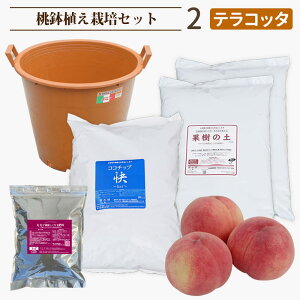 3年生果樹・花木鉢植え栽培セット ※苗木は付いておりません。