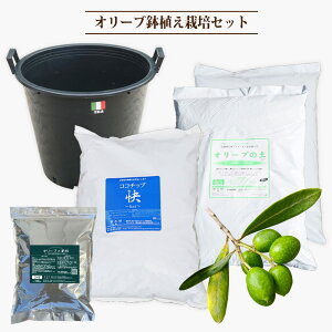 A͔|Zbg I[u 3Np ubNi[Z[|bg