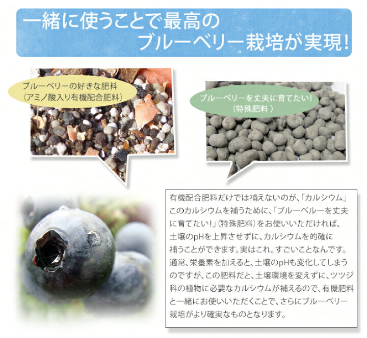 楽天市場 ブルーベリーの肥料 ブルーベリーがおいしくなる肥料 2kg 果樹の有機肥料 苗木部 ｂｙ 花ひろばオンライン