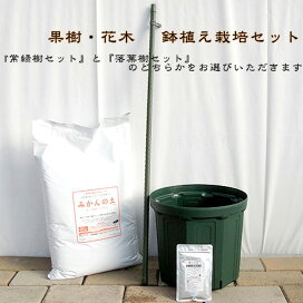楽天市場 初心者向け 果樹 花木鉢植え栽培セット 苗木部 ｂｙ 花ひろばオンライン