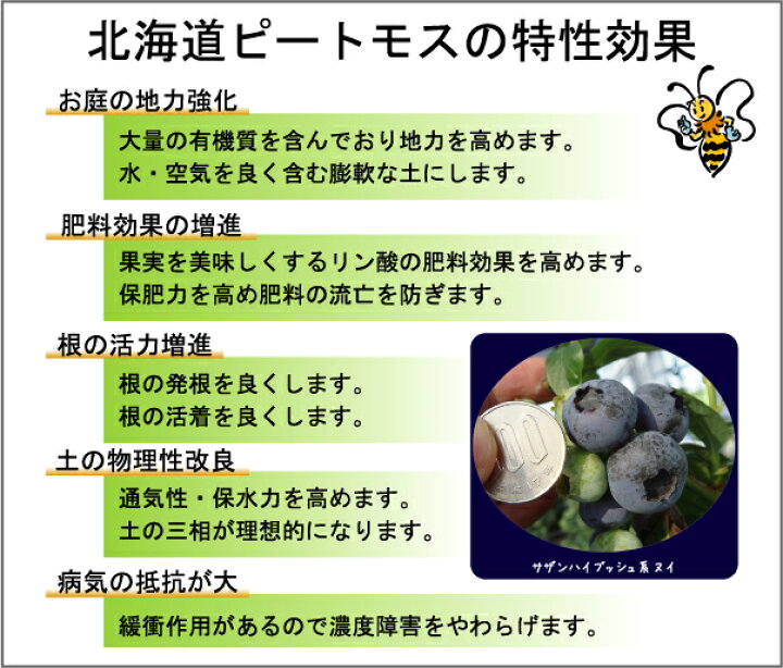 楽天市場 送料無料 ブルーベリー専門店の 北海道 ピートモス 福 5袋セット販売 70l 資材 土壌改良材 土壌改良剤 北海道 沖縄 離島不可 Blueberry 苗木部 by 花ひろばオンライン 楽天市場 送料無料 ブルーベリー専門店の 北海道 ピートモス 福 5袋セット販売 70l 資材 土壌改良材 土壌改良剤 北海道 沖縄 離島不可 Blueberry 苗木部 by 花ひろばオンライン