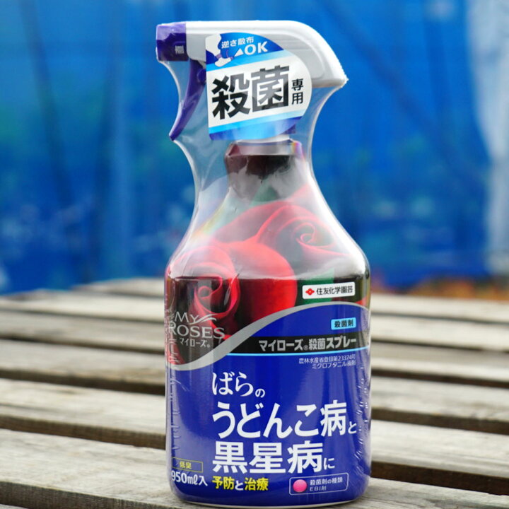 楽天市場 マイローズ 殺菌スプレー ばらのうどん粉病と黒星病に予防と治療 950ml 住友化学園芸 殺菌剤 苗木部 ｂｙ 花ひろばオンライン