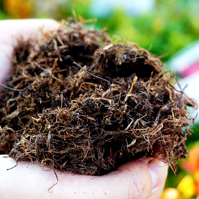地植えで使う 卓越 土壌改良材 ブルーベリなど 酸性土壌を好む花木に ブルーベリー ツツジの地植えに使う土 福 14l 資材 土壌改良剤 北海道ピートモス