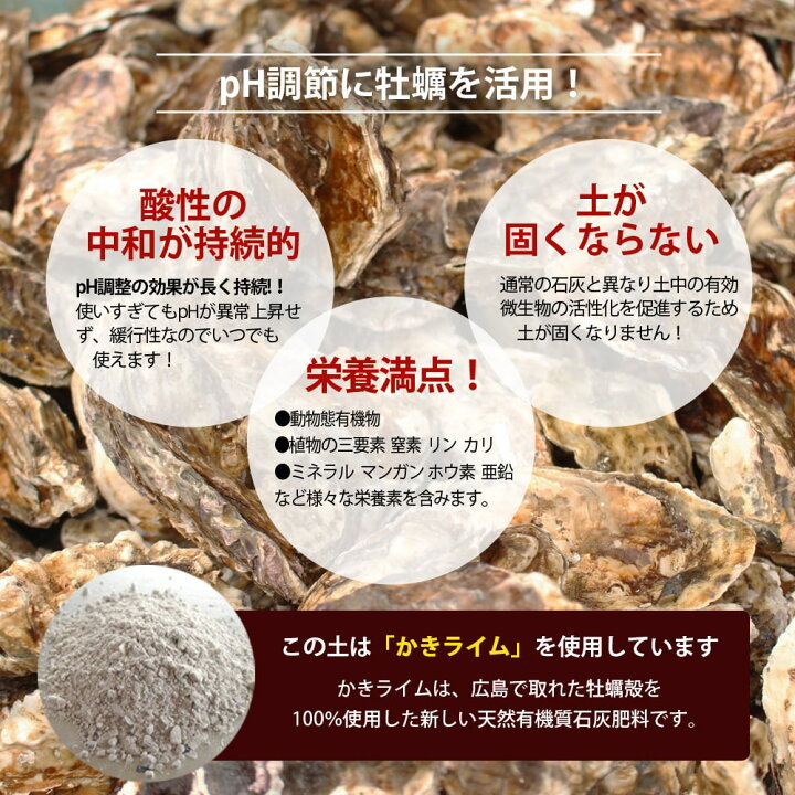 楽天市場 オリーブの土 肥料入り 14l 資材 オリーブ 鉢植え専用 培養土 苗木部 ｂｙ 花ひろばオンライン