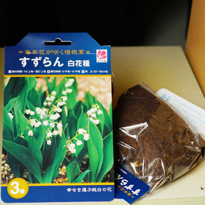 楽天市場 球根 すずらん 白花 3株入 予約販売 12月中旬頃発送予定です 苗木部 ｂｙ 花ひろばオンライン