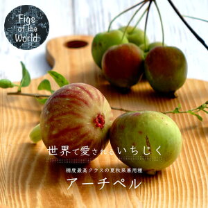  yA[`yz 1N}ؕc y\̔z12`N1ח\