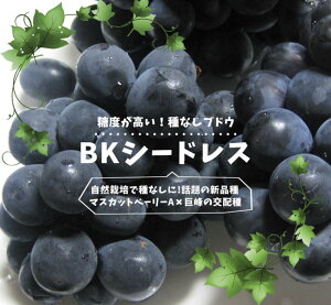 햳Ԃǂ yBKV[hXz 1Nږؕc EBXt[ o^iEio^ y\̔z12`N1ח\