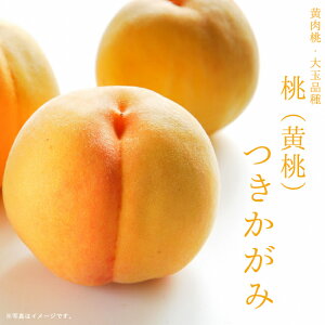  c y݁z  1Nږؕc y\̔z11`12ח\