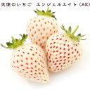 いちご 苗 【白いちご】 天使のいちご エンジェルエイト (AE) 3号ポット苗