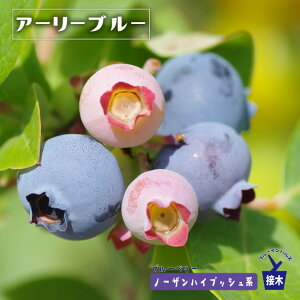 yA[[u[z m[UnCubVn 2Nږؕc u[x[c u[CpX