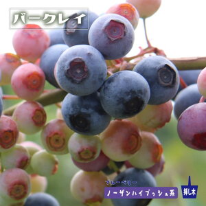 yo[NCz m[UnCubVn 2N}ؕc u[x[c