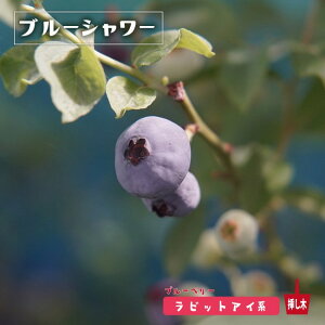 yu[V[z rbgACn 3N}ؕc A u[x[c