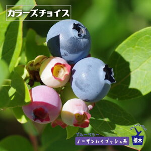 yJ[Y`CXz m[UnCubVn 2Nږؕc u[x[c u[CpX