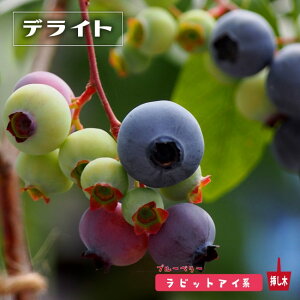 yfCgz rbgACn 2N}ؕc u[x[c