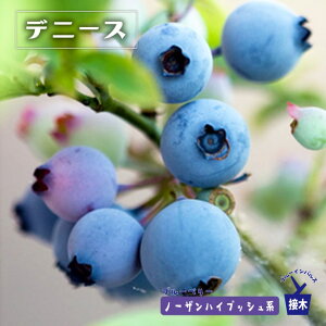 yfj[XifjXu[jz m[UnCubVn 2Nږؕc u[x[c u[CpX