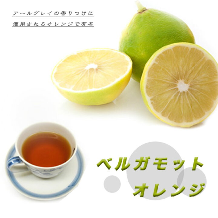 楽天市場 ベルガモット バロチン オレンジ 1年生 接木苗 柑橘 果樹苗木 苗木部 by 花ひろばオンライン 楽天市場 ベルガモット バロチン オレンジ 1年生 接木苗 柑橘 果樹苗木 苗木部 by 花ひろばオンライン