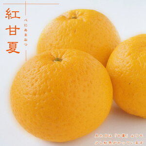 ygÉāz 3Nږؑc Ȃ݂