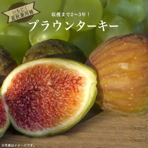  yuE^[L[z 1Nc y\̔z12`N1ח\