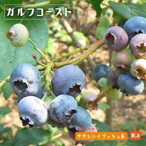 yKtR[Xgz TUnCubVn 2N}ؕc u[x[c