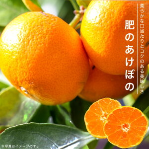 ݂ c ŷڂ́z ɑ݂ 1Nږؕc