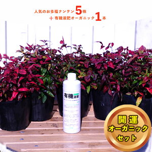 植木 盆栽 オタフクナンテンの人気商品 通販 価格比較 価格 Com