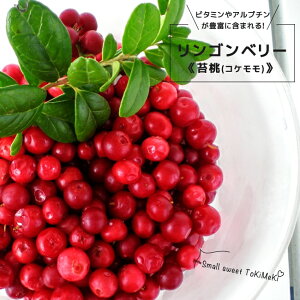 x[̖ ySx[ (RP)z |bgc