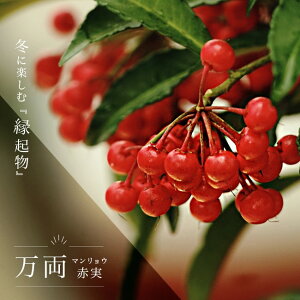  yi}Ej D Ԏz 5|bgc