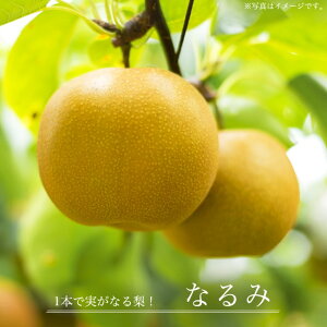  c yȂ݁z 2Nږؕc XbgA o^iEio^̔ y\̔z10`11ח\
