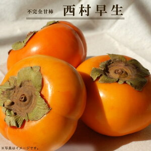 `̕c yz sSÊ` 1Nږؕc y\̔z11`12ח\