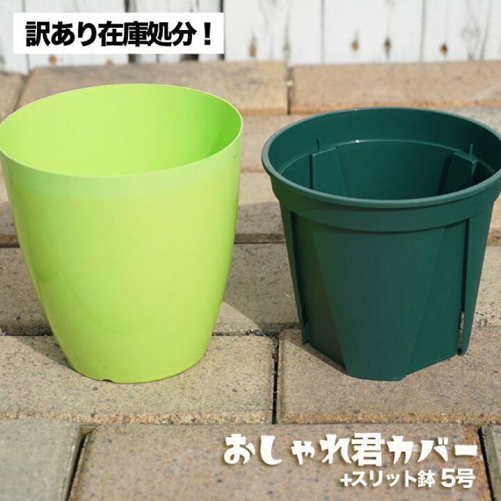 楽天市場 スリット鉢 鉢カバーセット おしゃれ君スリット 鉢 5号 資材 スリット 鉢 ロング 苗木部 ｂｙ 花ひろばオンライン