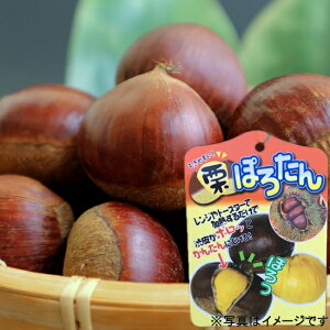 I c yۂ낽z 2Nږؕc OXbg A ̔ o^iEio^ y\̔z10`11ח\