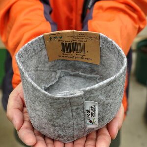 [g|[` ySSTCY Ȃz 搧obO TCNAؔ a12cm [obO