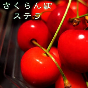 ڂ̖ yXez 1Nږؕc y\̔z11`12ח\