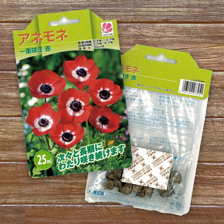楽天市場 アネモネ 一重咲き 赤 35ｍｌ 球根 植え付け時期12月下旬まで 予約販売 8月頃発送予定 苗木部 ｂｙ 花ひろばオンライン