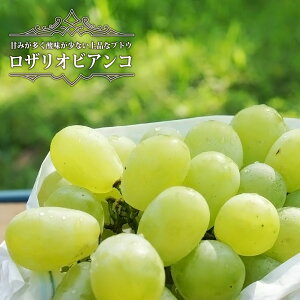 yUIrARz Ԃǂ 1Nږؕc EBXt[ y\̔z12`N1ח\