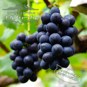 yiKmp[vz Ԃǂ 3Nږؕc 1.1mc EBXt[ o^iEio^ y\̔z10`11ח\