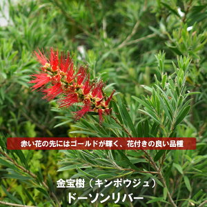 yh[\o[z uVmL iJXeEL|EWj 5|bgc