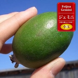 tFCWA c yWF~jz 3Nږؑc