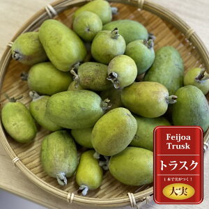 tFCWA c ygXNz 1N ږؕc