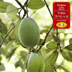 tFCWA c yA|XyVz 1Nږؕc